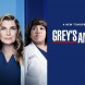 Grey's Anatomy aborde un nouveau design !