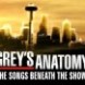 Grey's Anatomy: The Songs Beneath the Show - Interview