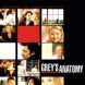 Une saison 8 pour Grey's 