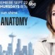 Saison 13 - Diffusion 