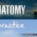 Les finals de Shonda Rhimes