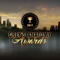 Grey's Anatomy Awards 2017