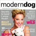 Modern Dog