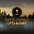 Animation - Grey's Anatomy Awards 2017 