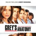 Convention Grey's Anatomy