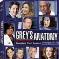DVD Saison 6 