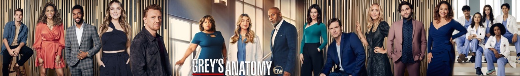 Bannière du quartier Grey's Anatomy