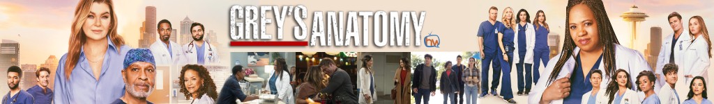 Bannière du quartier Grey's Anatomy