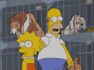 Les Simpson Lisa et Homer 