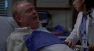 Grey's Anatomy Mr Fink 