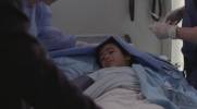 Grey's Anatomy Shawn Begleiter 
