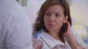 Grey's Anatomy Diana Niles 