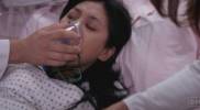 Grey's Anatomy No�lle Labatt 
