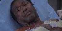 Grey's Anatomy Archie Roche 