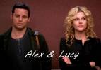Grey's Anatomy Alex et Lucy 