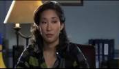 Grey's Anatomy The Princess Diaries 