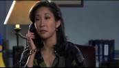 Grey's Anatomy The Princess Diaries 