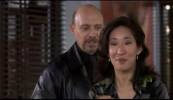 Grey's Anatomy The Princess Diaries 
