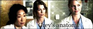 Grey's Anatomy Bannires 