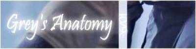 Grey's Anatomy Bannires 