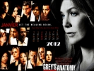 Grey's Anatomy Calendrier 2012 