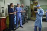 Grey's Anatomy Tournage Saison 12 