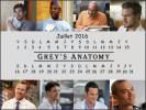Grey's Anatomy Calendriers 2016 