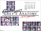 Grey's Anatomy Calendriers 2017 