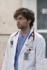 Grey's Anatomy Levi Schmitt : personnage de la srie 
