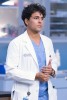 Grey's Anatomy Lucas Adams : personnage de la srie 