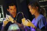 Grey's Anatomy Les Photos 