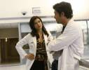 Grey's Anatomy Les Photos 