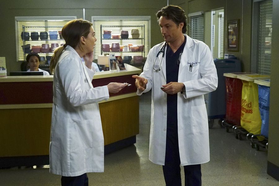 Meredith Grey (Ellen Pompeo) et Nathan Riggs (Martin Henderson) 