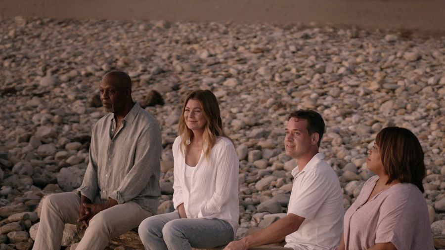 Meredith, Richard, Bailey et George sur la plage 