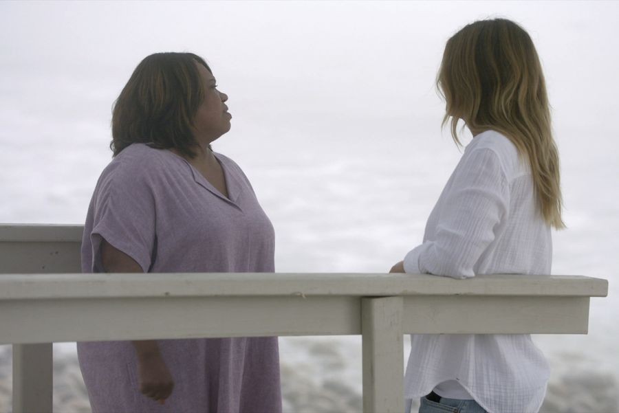 Meredith et Bailey sur la plage 
