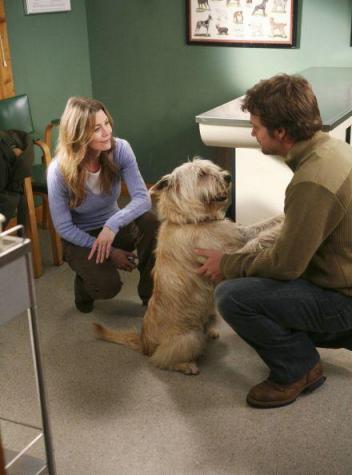 Meredith, Finn et Doc
