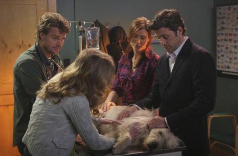 Meredith, Finn et Derek avec Doc
