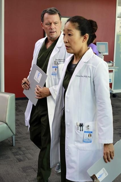 Cristina Yang et son nouveau supérieur (Steven Culp)