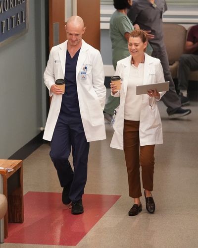 Meredith Grey (Ellen Pompeo) et Cormac Hayes (Richard Flood)